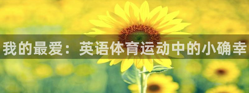 yy易游官方集團(tuán)官網(wǎng)：我的最?lèi)?ài)：英語(yǔ)體育運(yùn)動(dòng)中的小確幸
