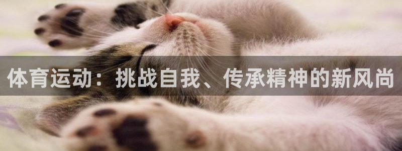 yy易游官網(wǎng)下載招商電話地址：體育運(yùn)動(dòng)：挑戰(zhàn)自我、傳