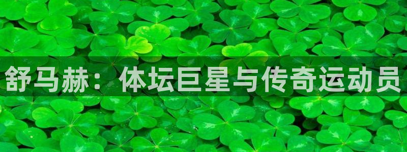 yy易游官網(wǎng)下載招商電話地址是多少：舒馬赫：體壇巨星