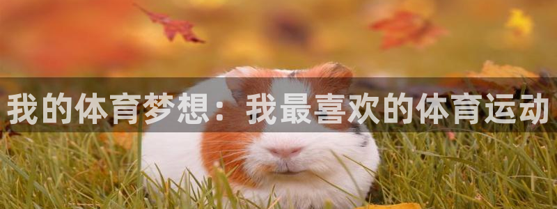 德國yy易游官方正版app集團