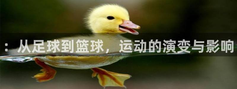 yy易游官網(wǎng)下載開(kāi)戶(hù)：：從足球到籃球，運(yùn)動(dòng)的演變與影響